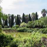 ...che permette l�attraversamento di un sorprendente laghetto artificiale, simbolo dell�orto botanico